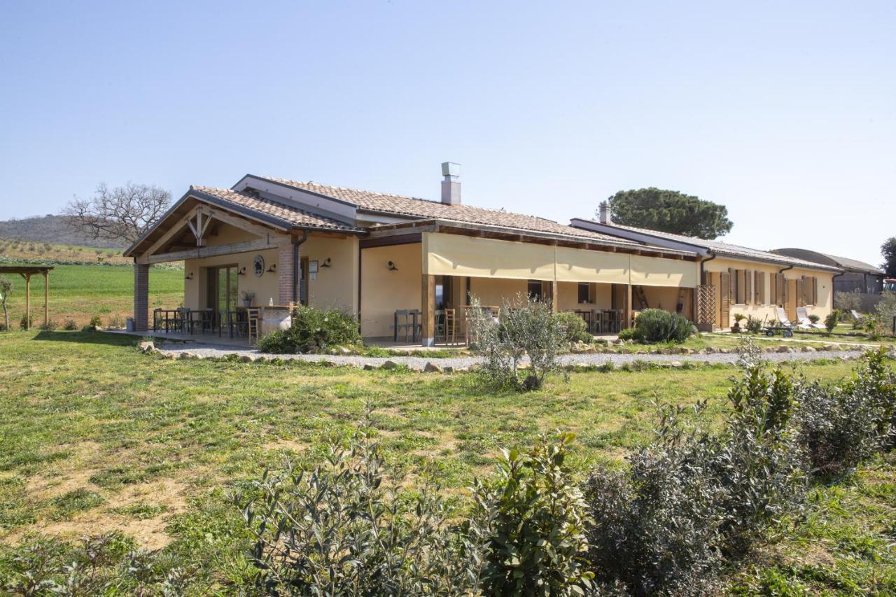 Agriturismo Casa Ricci Villa Magliano in Toscana Exteriör bild