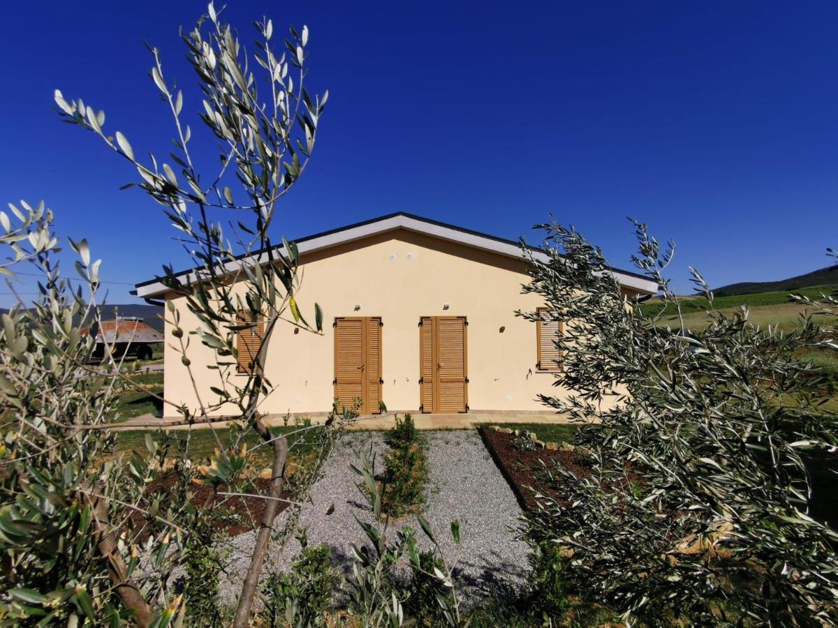 Agriturismo Casa Ricci Villa Magliano in Toscana Exteriör bild